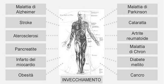 malattie legate allo stress ossidativo